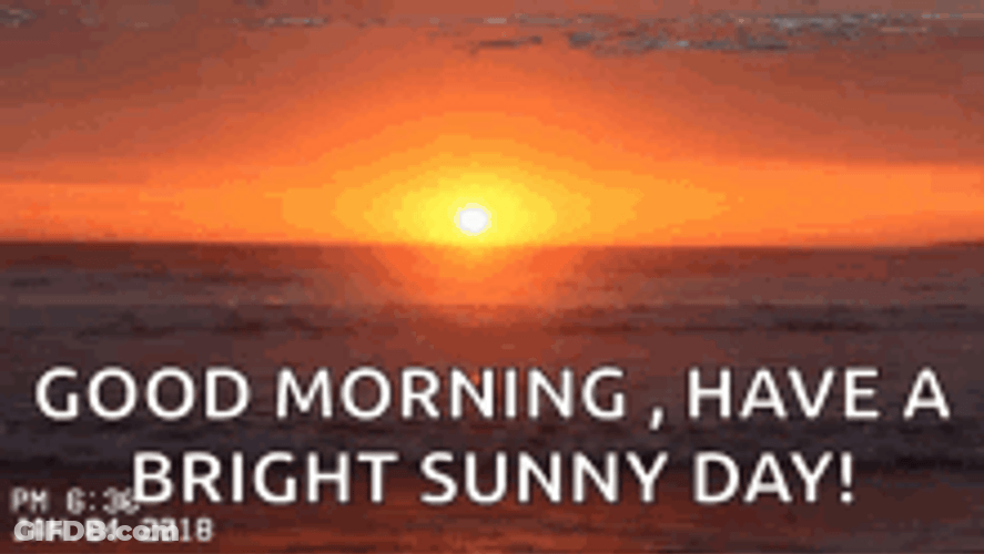 Good Morning Sunny Day Retrowave Greeting GIF