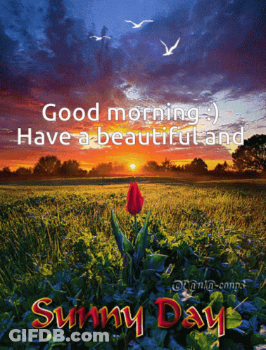Good Morning Sunny Day GIF