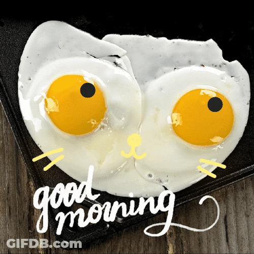Good Morning Sunny Side Up Egg GIF