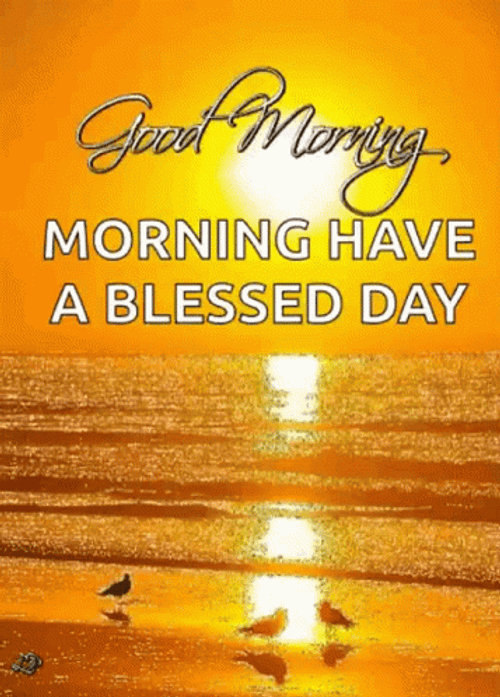 Good Morning Sunrise Blessed Day Beach GIF