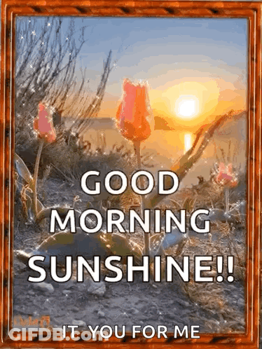 Good Morning Sunset And Flowers Card GIF