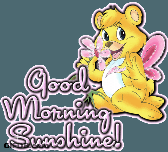 Good Morning Sunshine Bear Flowers GIF