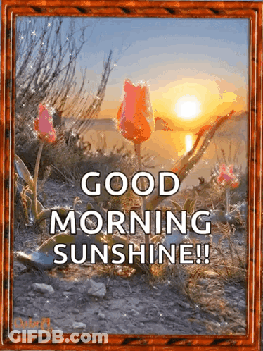Good Morning Sunshine Flowers GIF