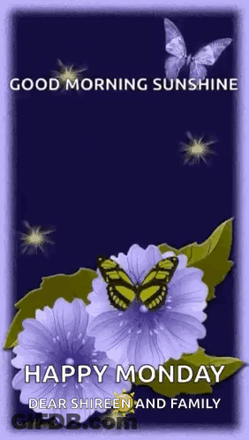 Good Morning Sunshine Greeting Card Purple Flowers Butterflies Shireen GIF