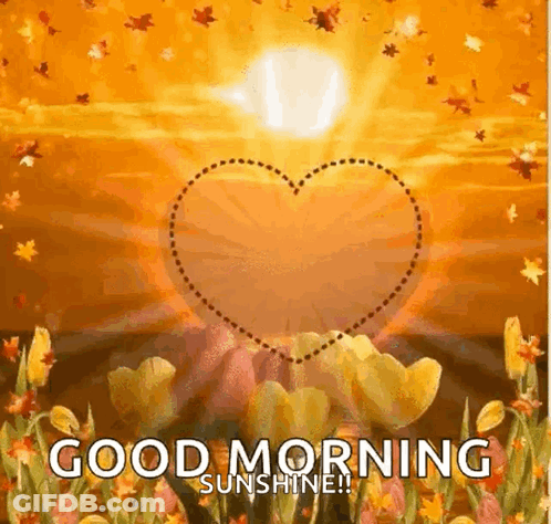 Good Morning Sunshine Greeting With Heart In Flower Field GIF