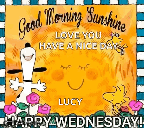Good Morning Sunshine Love You Have A Nice Day Lucy Happy Wednesday GIF