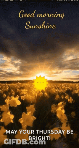 Good Morning Sunshine May Your Thursday Be Bright Greeting GIF