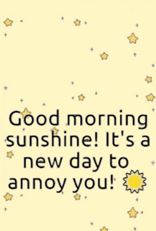 Good Morning Sunshine New Day To Annoy You GIF