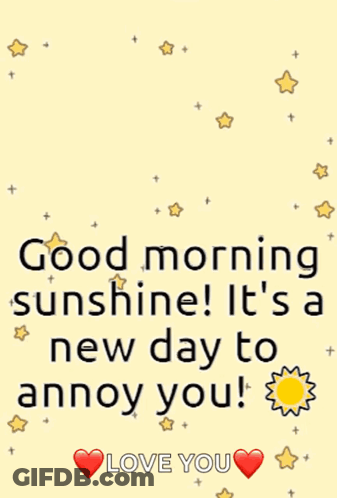 Good Morning Sunshine New Day To Annoy You Love You GIF