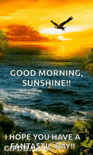 Good Morning Sunshine GIF