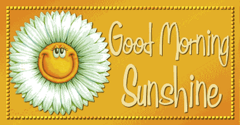 Good Morning Sunshine Smiling Daisy GIF