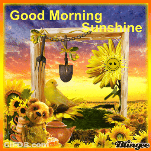 Good Morning Sunshine Sunflowers Teddy Bear Yellow Bird GIF