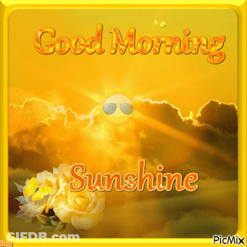 Good Morning Sunshine Sunglasses Yellow Flower Butterfly GIF