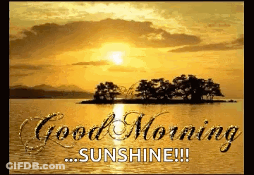Good Morning Sunshine Sunset Over Lake With Trees GIF