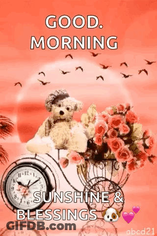 Good Morning Sunshine Teddy Bear On Bike GIF