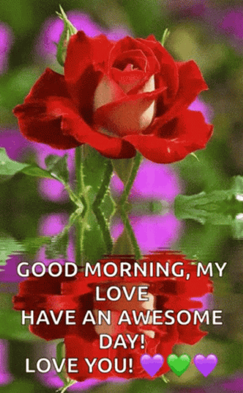 Good Morning Sweetheart Have Awesome Day GIF