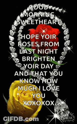 Good Morning Sweetheart Hope Your Roses From Last Night Brighten Your Day And That You Know How Much I Love You Xoxoxox GIF