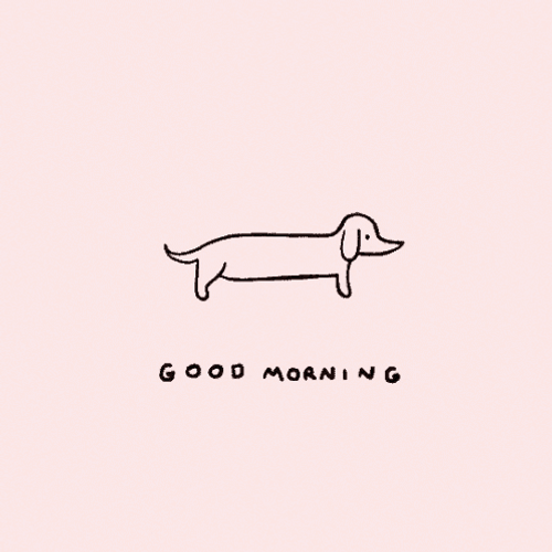 Good Morning Sweetheart Stretching Dog GIF