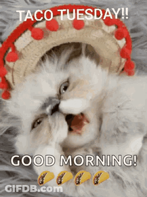 Good Morning Taco Tuesday GIF