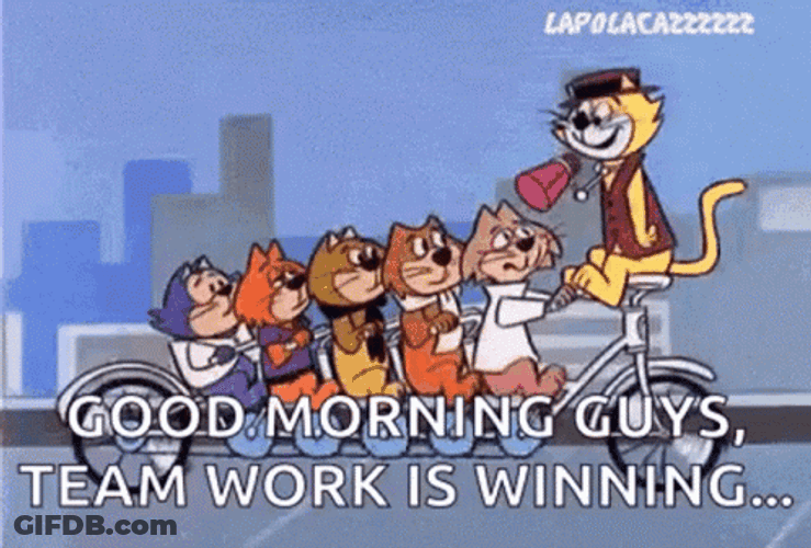 Good Morning Team Cats Bicycle Ride GIF
