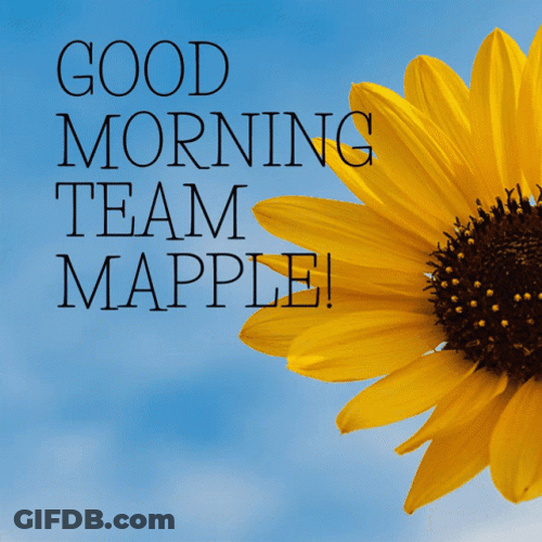 Good Morning Team Fresh Sunflower GIF