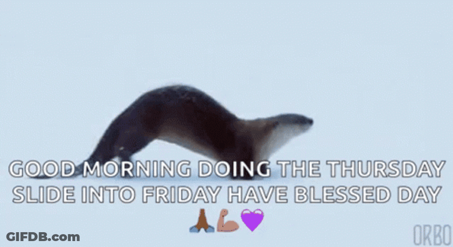 Good Morning Thursday Cute Otter Sliding GIF