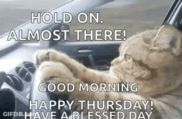 Good Morning Thursday Funny Hold On GIF