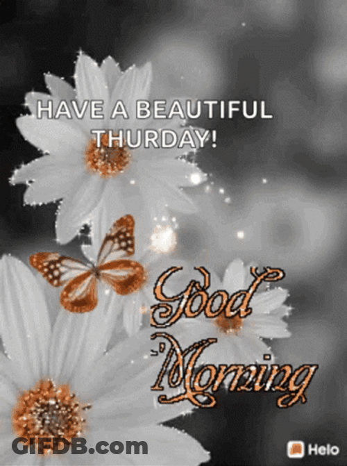 Good Morning Thursday Funny White Flower GIF