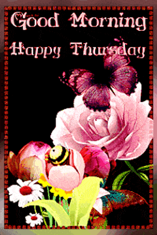 Good Morning Thursday Pink Flower Butterfly Animation GIF
