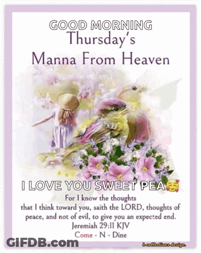 Good Morning Thursday's Manna From Heaven Girl Bird GIF