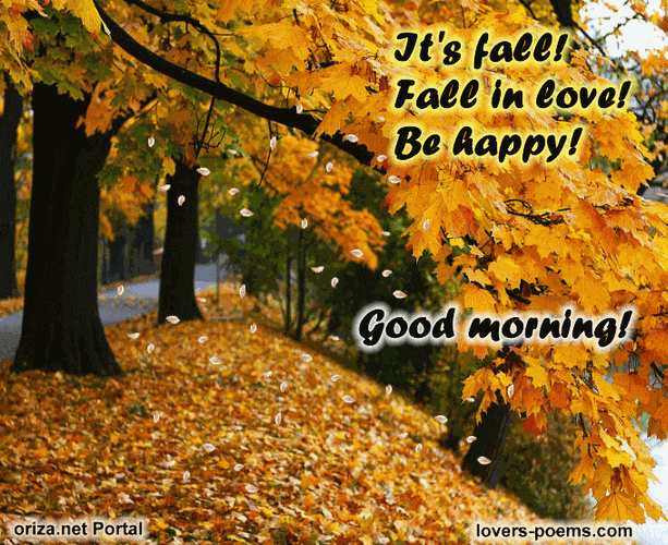 Good Morning Time To Fall In Love GIF