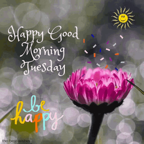 Good Morning Tuesday Be Happy GIF
