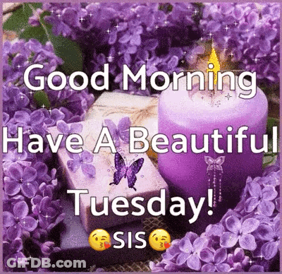Good Morning Tuesday Greeting Card With Purple Flowers And Candle GIF