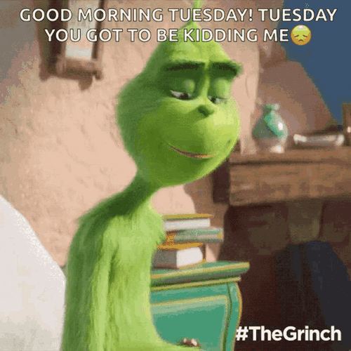 Good Morning Tuesday You Kidding Me GIF