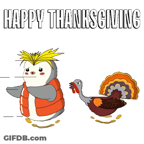 Good Morning Turkey And Penguin Chase GIF