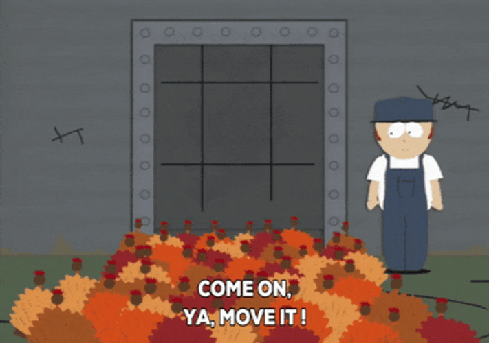 Good Morning Turkey Come On Move It GIF