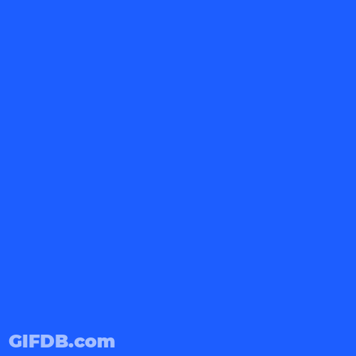 Good Morning Turkey Sneaking GIF
