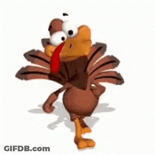 Good Morning Turkey Todd Walking GIF