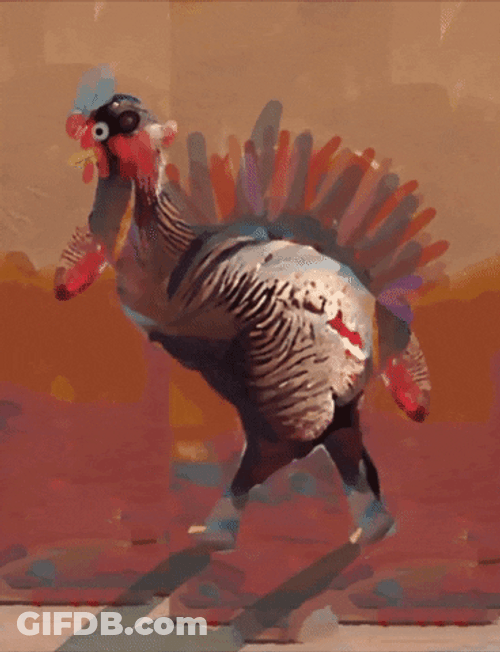 Good Morning Turkey Walking GIF
