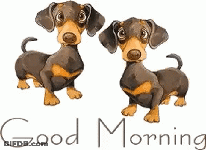 Good Morning Two Brown Puppies GIF