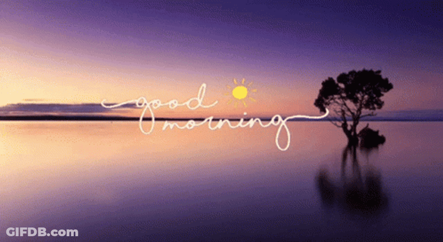 Good Morning View Calming GIF