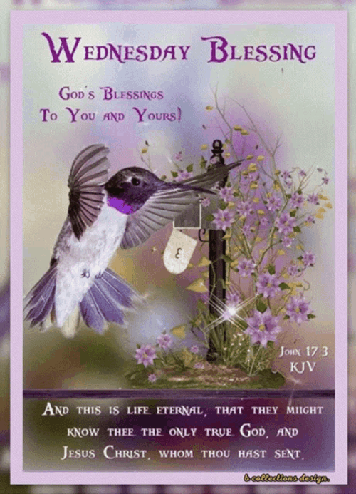 Good Morning Wednesday Blessing Humming Bird Jesus Christ GIF