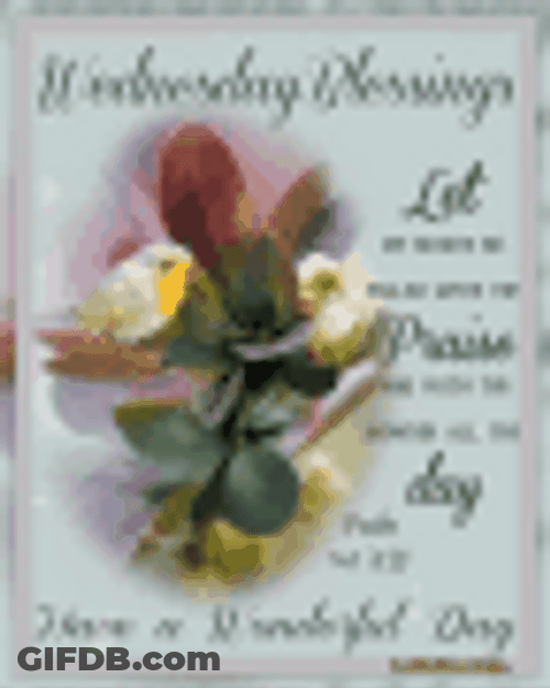 Good Morning Wednesday Filled With Praise Wonderful Day GIF