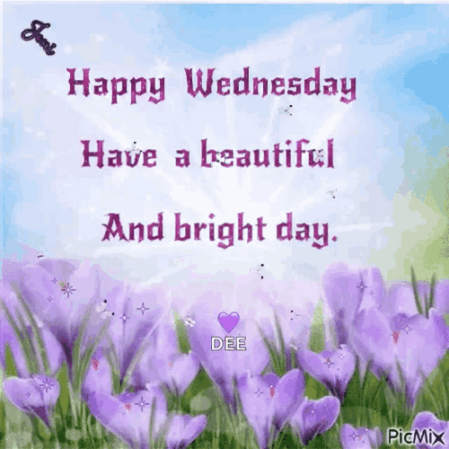 Good Morning Wednesday Have A Beautiful Bright Day GIF