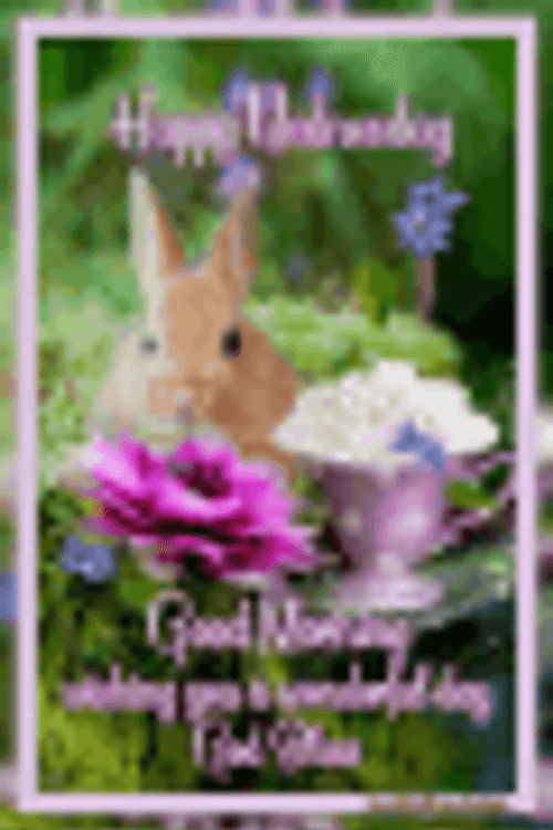 Good Morning Wednesday Wishing You A Wonderful Day Rabbit GIF