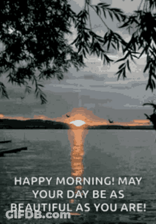 Good Morning Wife Beautiful Beach Sunrise GIF