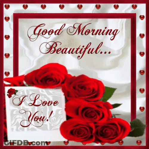 Good Morning Wife Beautiful Red Roses GIF