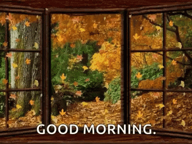 Good Morning Window Falling Leaves GIF