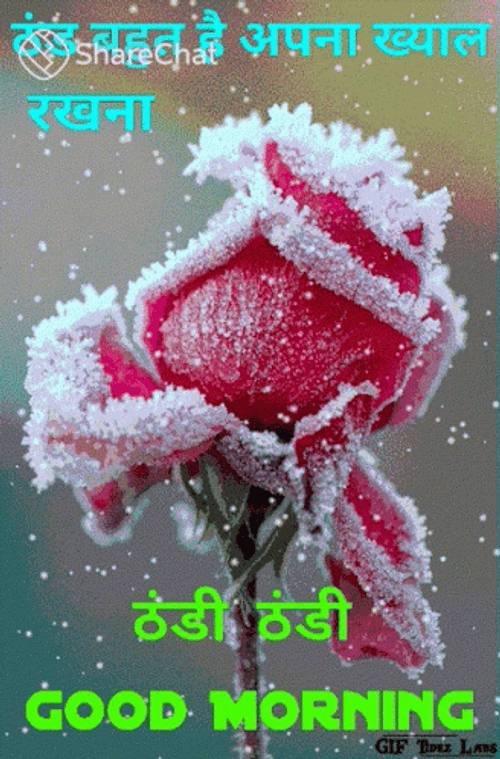 Good Morning Winter Frozen Flower GIF