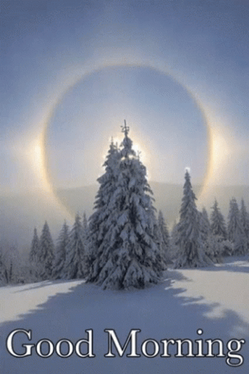 Good Morning Winter Halo Behind Tree GIF
